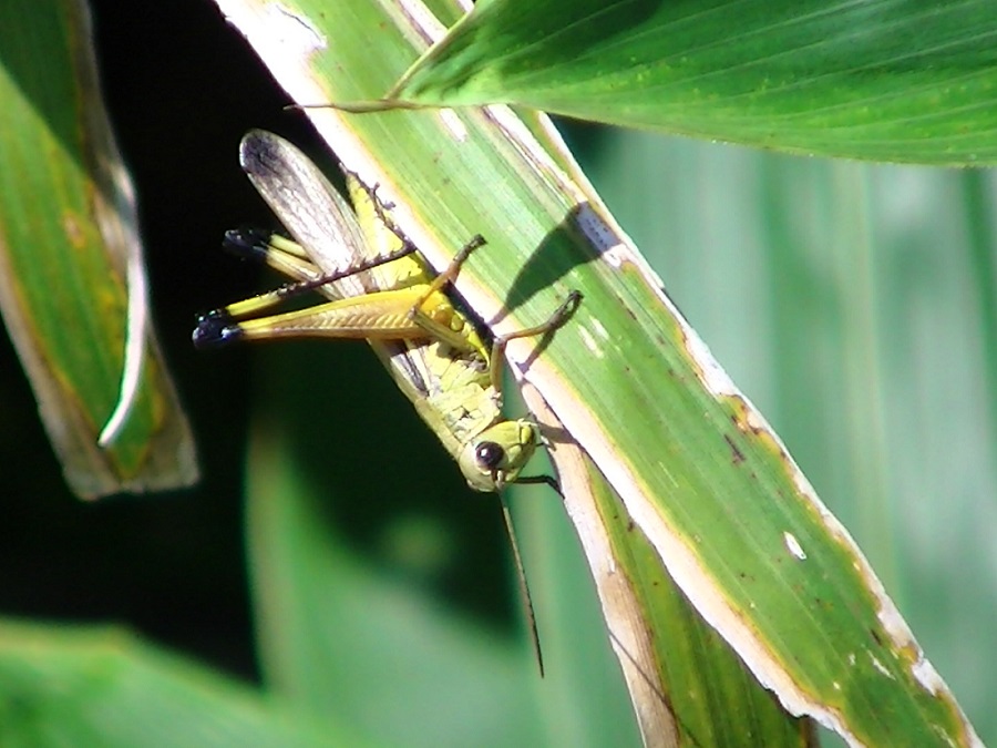 �`���E�`��