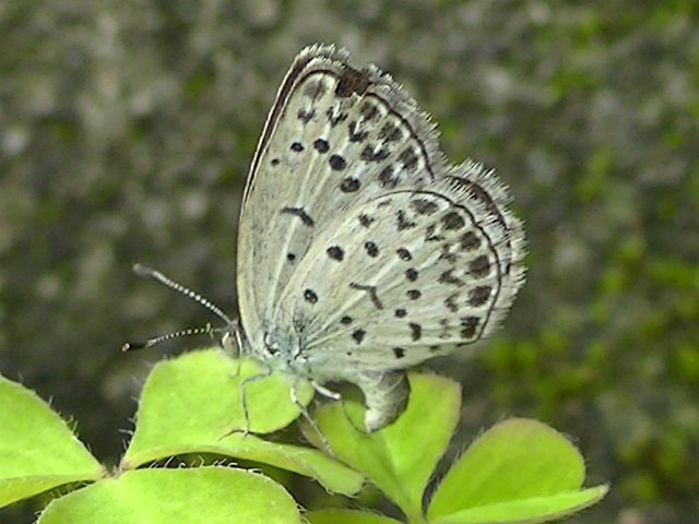 �`���E�`��