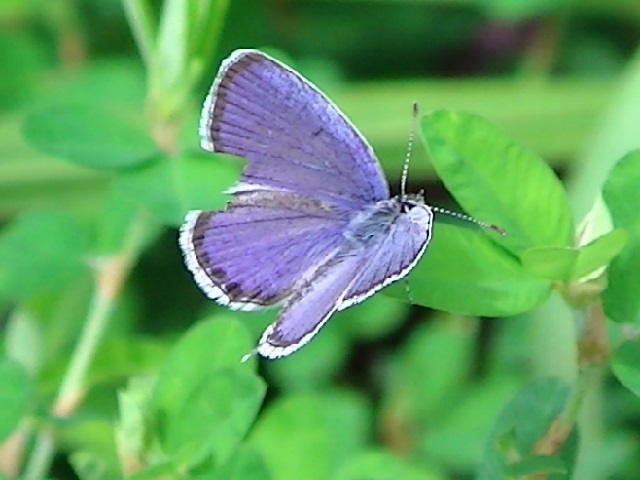 �`���E�`��