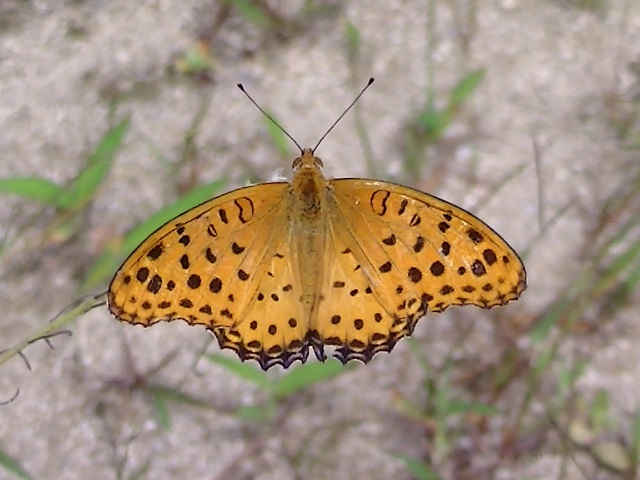 �`���E�`��