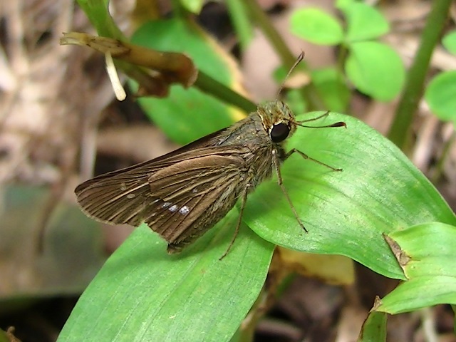 �`���E�`��