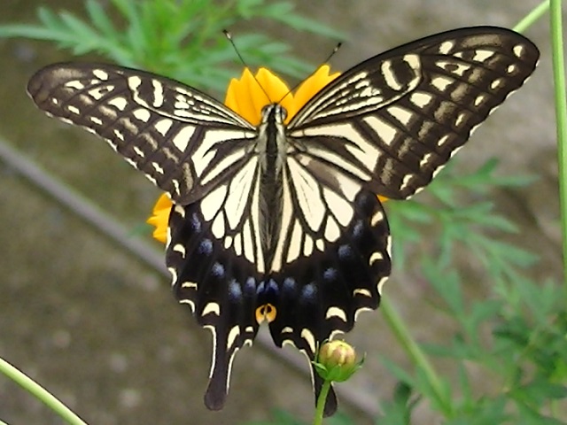 �`���E�`��