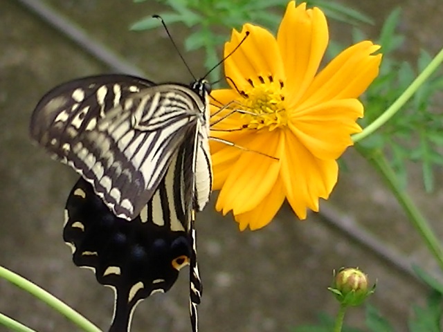 �`���E�`��