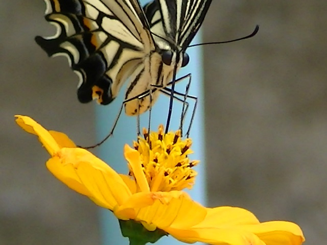 �`���E�`��