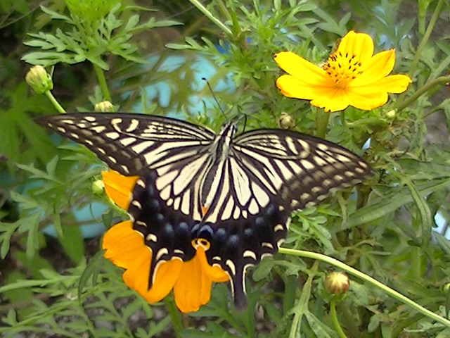 �`���E�`��