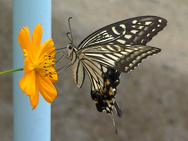 �`���E�`��