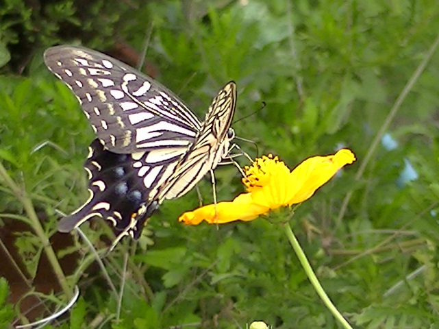 �`���E�`��