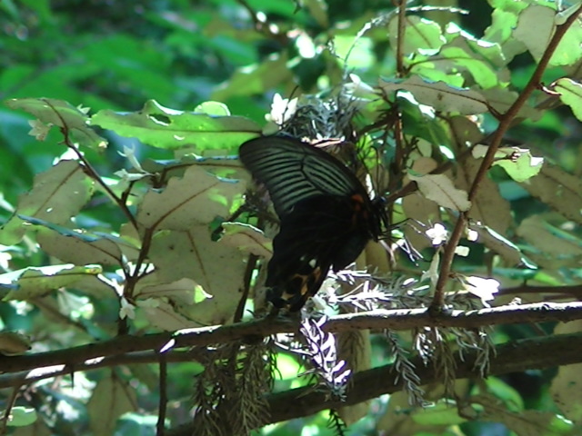 �`���E�`��