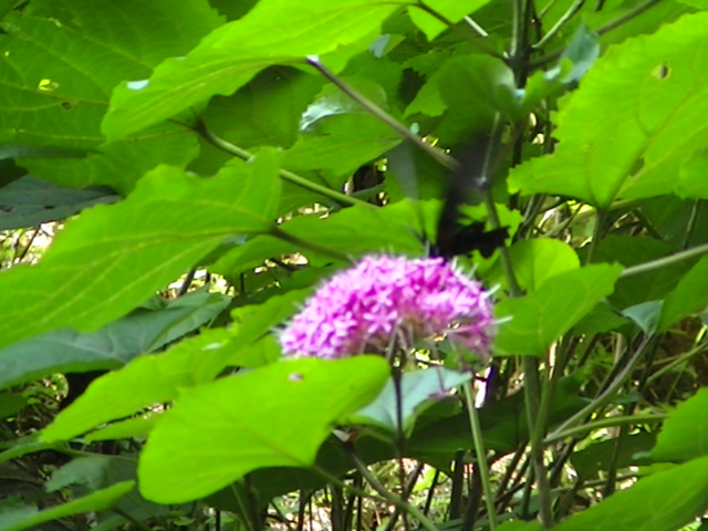 �`���E�`��