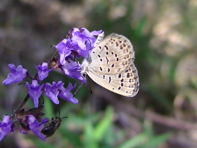 �`���E�`��