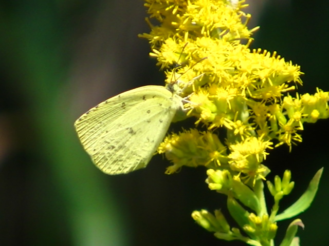 �`���E�`��