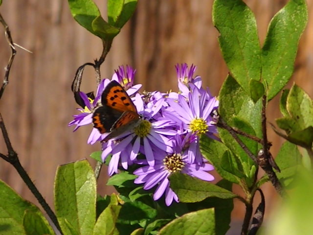 �`���E�`��