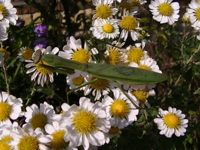 �`���E�`��