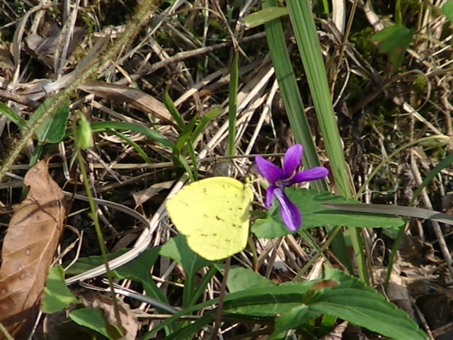 �`���E�`��