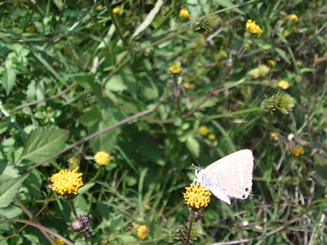 �`���E�`��