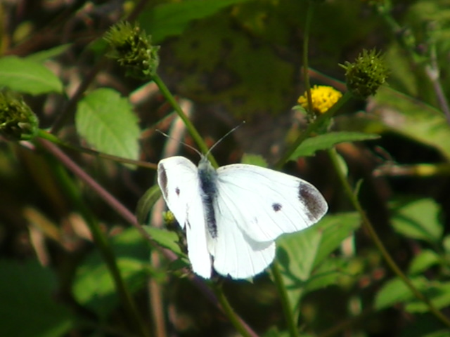 �`���E�`��