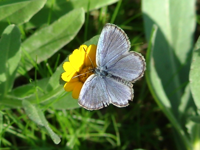 �`���E�`��