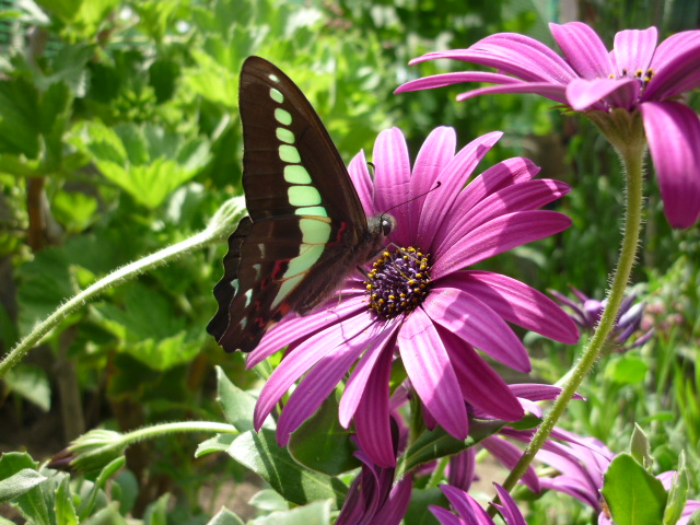 �`���E�`���̎ʐ^