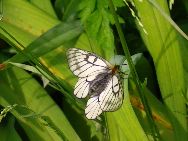 �`���E�`���̎ʐ^