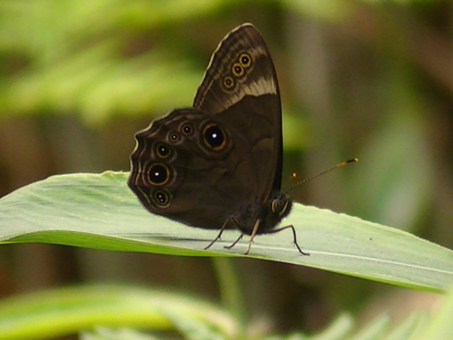 �`���E�`���̎ʐ^