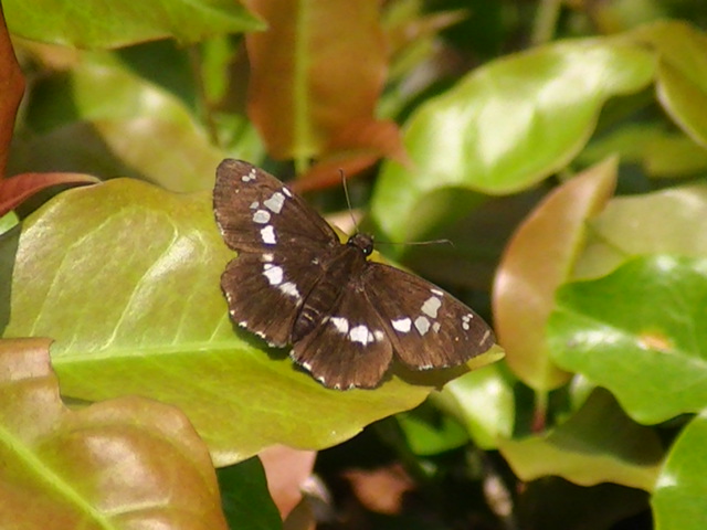 �_�C�~���E�Z�Z��