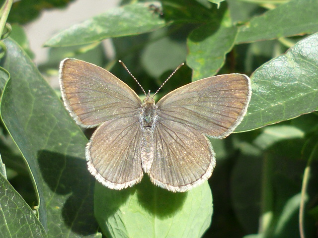 �`���E�`���̎ʐ^