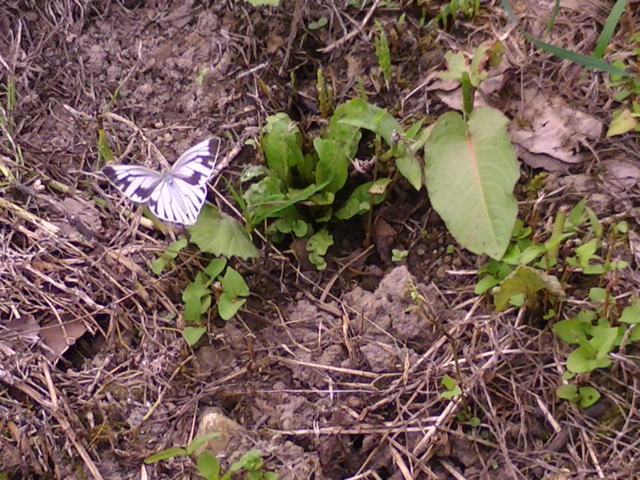 �`���E�`��