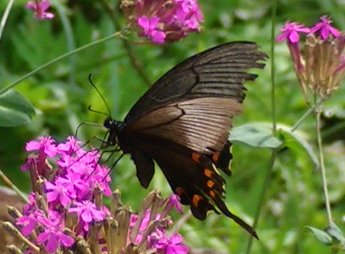 �`���E�`��