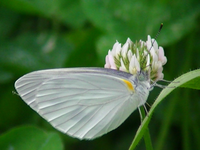 ���������V���`���E