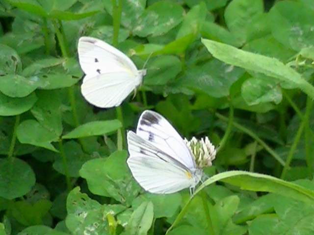 �`���E�`��