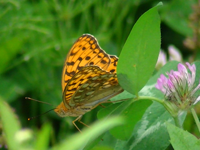 �`���E�`��