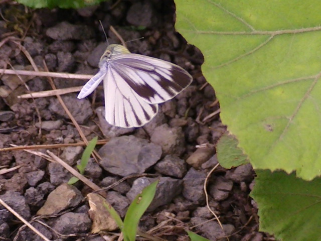 �`���E�`��