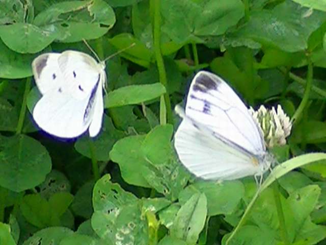 �`���E�`��