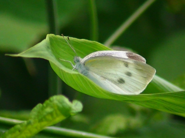 �`���E�`��