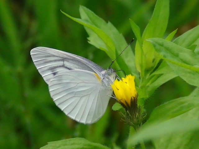 �`���E�`��