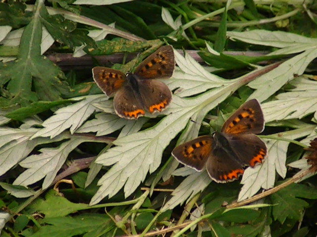 �`���E�`��