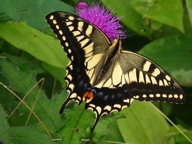 �`���E�`��