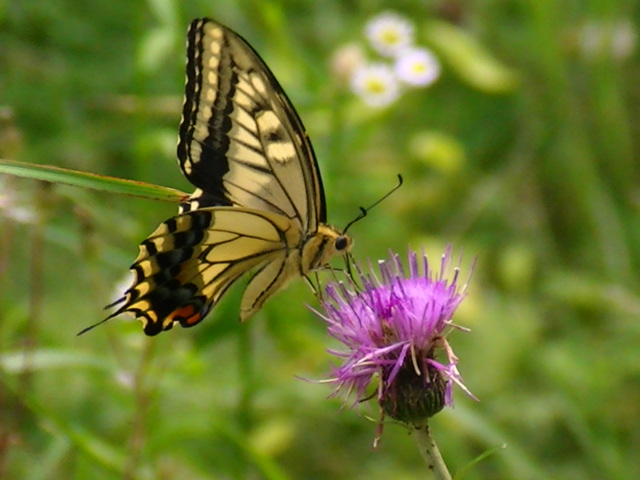 �`���E�`��