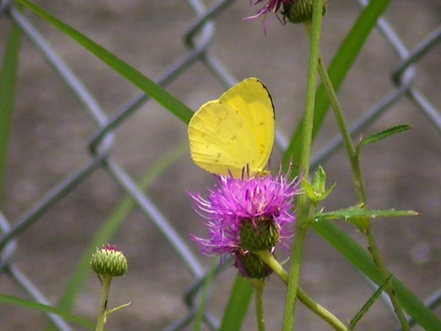 �`���E�`��