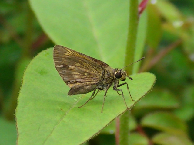 �`���E�`��