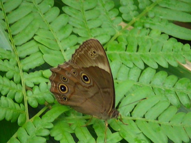 �`���E�`��