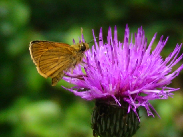 �`���E�`��