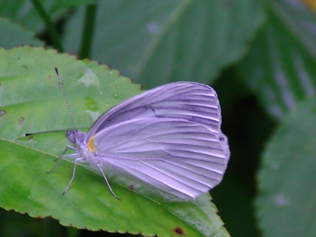 �`���E�`��