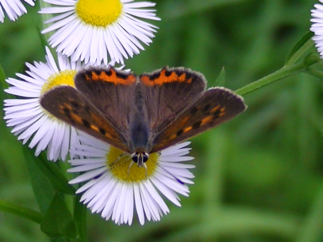 �`���E�`��