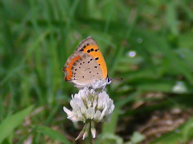 �`���E�`��