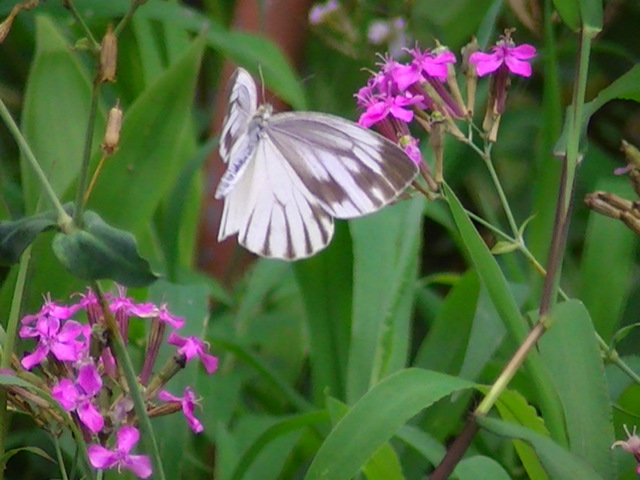 �`���E�`��