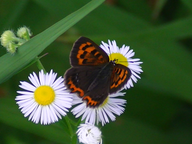 �`���E�`��