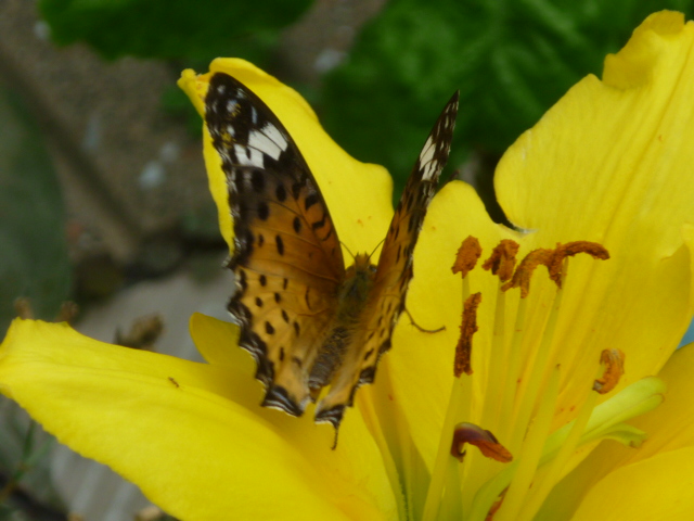 �`���E�`��