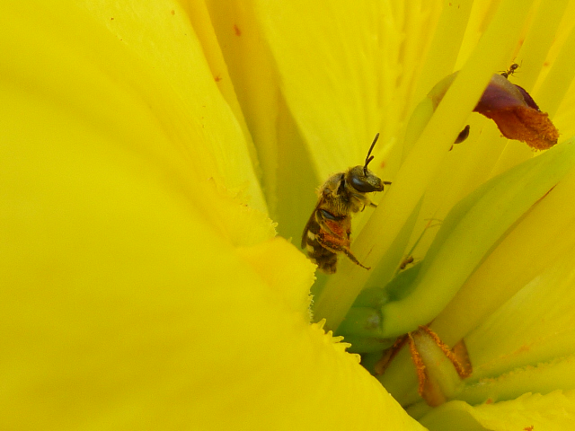 �`���E�`��