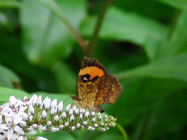 �`���E�`��